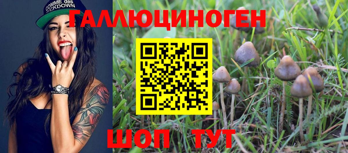 Волгодонск  Псилоцибиновые грибы GOLDEN TEACHER  Вход с VPN 